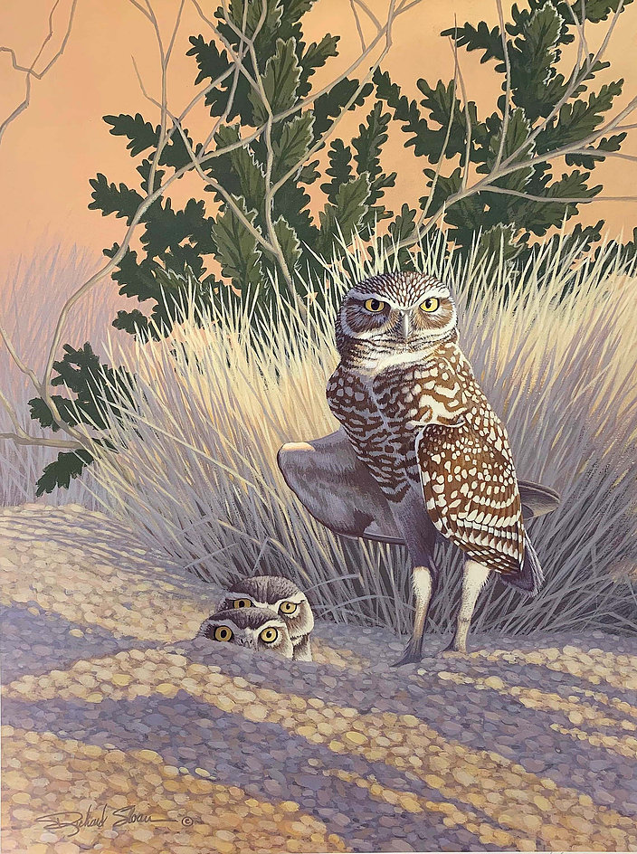 Burrowing Owls by Palmer New 9781682034040 Fast Free Shipping..